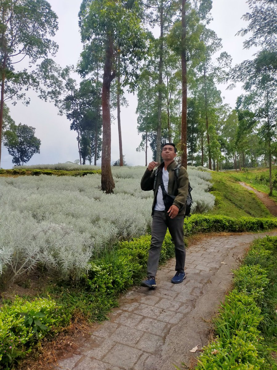 HembuskanM's tweet photo. Pen mlipir lagi k alam...syahdu bnged suasananya https://t.co/kjLQqevNY4