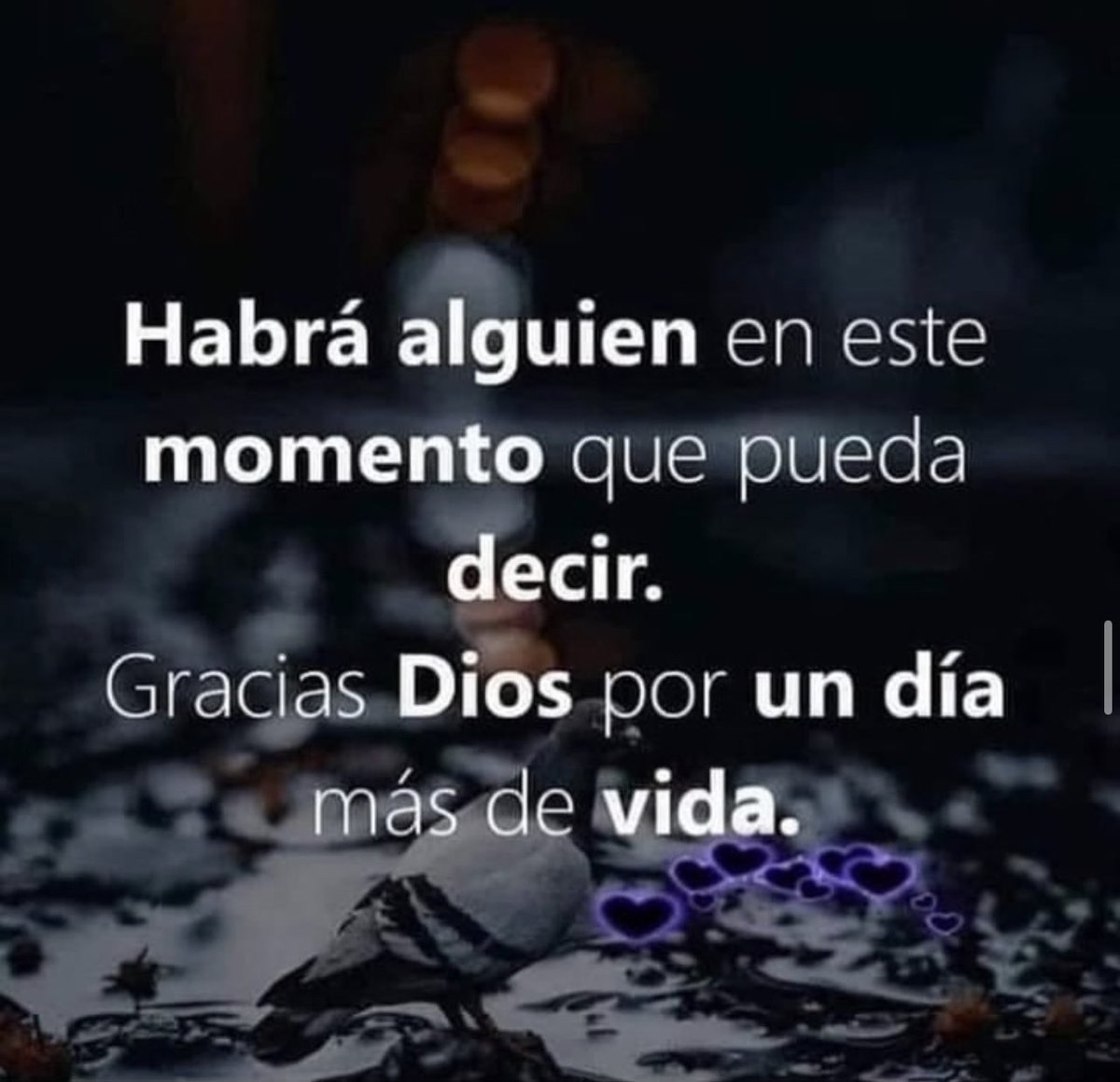Paulo Coelho Español (@paulocoelhodice) on Twitter photo 