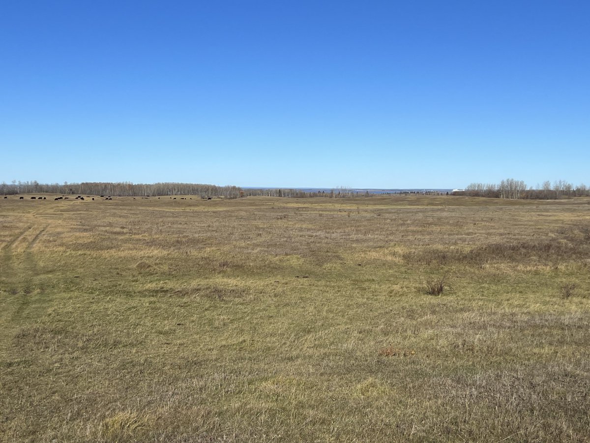 grassncows's tweet image. Headed up to our Meadow Lake place to check out our road project today. #makingprogress #youcanseetownfromhere