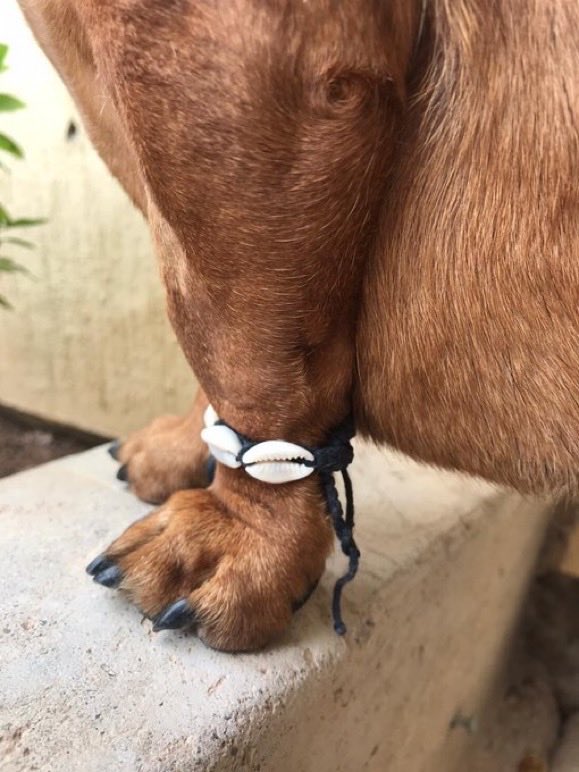 twaniimals's tweet image. 