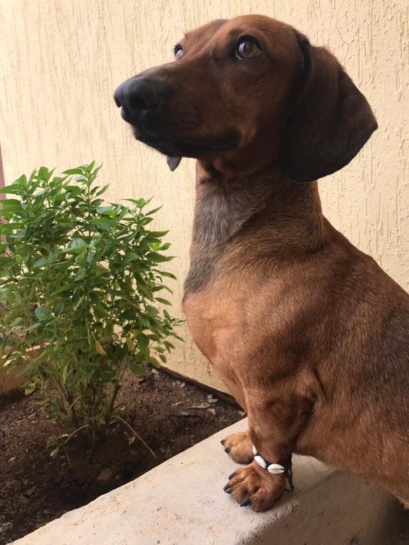 twaniimals's tweet image. 