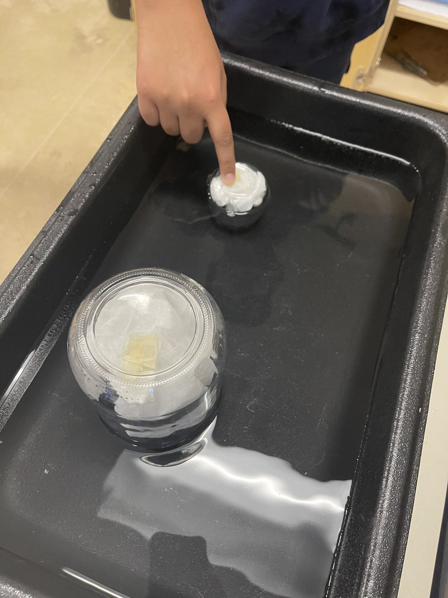 BPSHawks6 tweet media