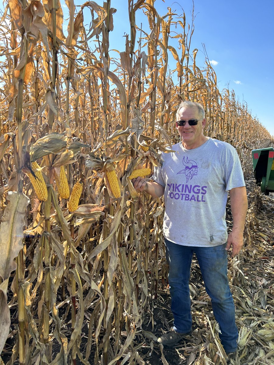 FamilyBenson's tweet photo. One of my longtime customers harvesting a nice crop. Good job Mark! https://t.co/WAqeqbZlIz