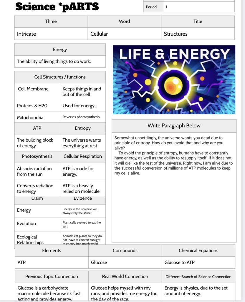 arianakhern's tweet photo. #SciencepARTS helped #Biology Ss receive a huge overview of #CellEnergyCycle (s) today! Ss watched a video & identified all the parts shown in the blank template, then filled in said parts w/ info. They wrote a pp to answer a leading ? using the #science parts. #Eduprotocols https://t.co/An4H5JjWe4