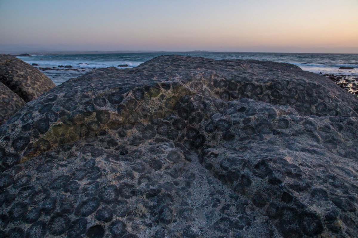 El Santuario de la Naturaleza Granito Orbicular es una zona costera de unos 400 m2. 

Se encuentra a 11 km de Caldera, al norte de la extensa playa de Rodillo, en la Región de #Atacama. 

📷 <a href="/Dani_Trabucco/">Dani Trabucco</a> , Año 2019. 
#NortedeChile