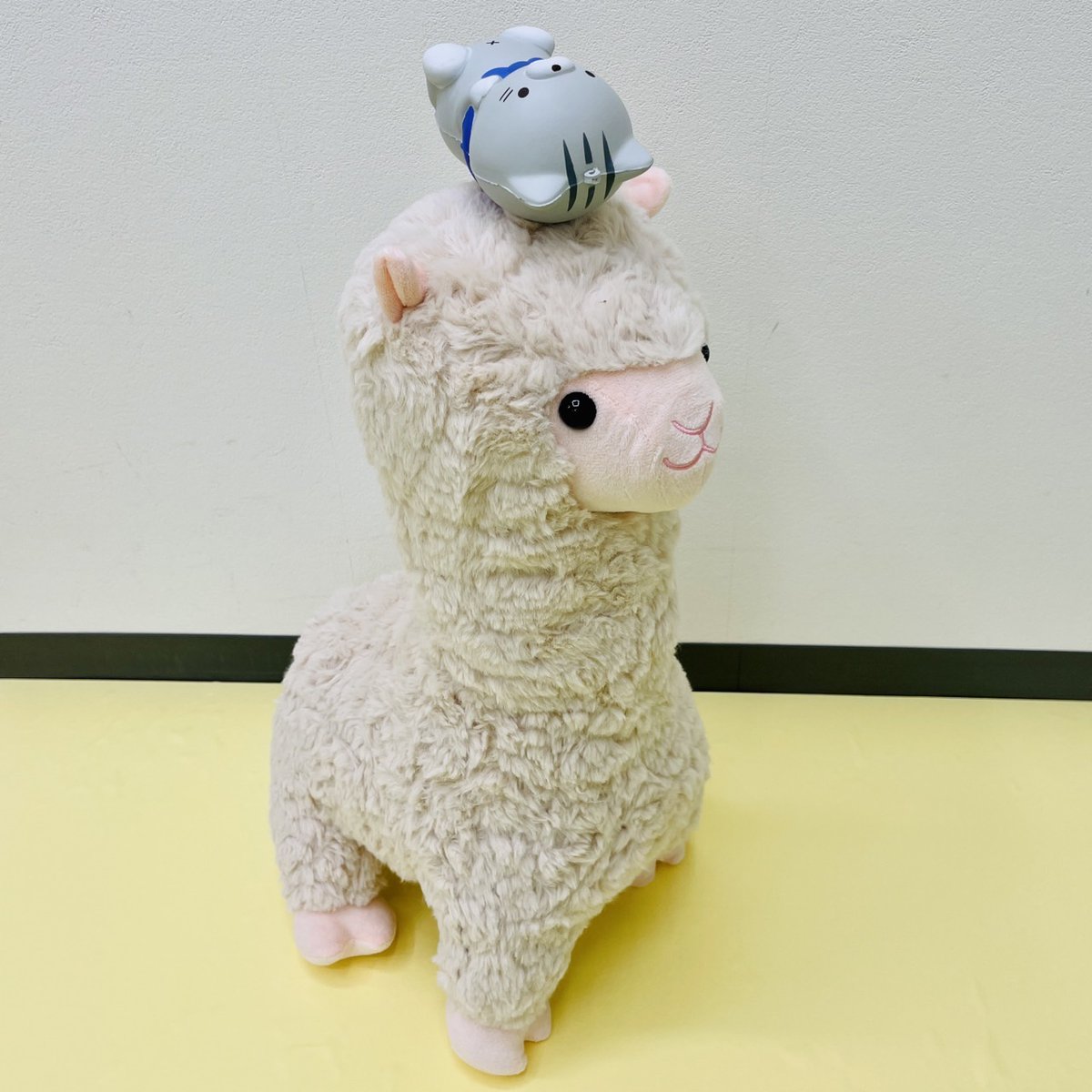 ＼新商品🎊／
BIGぬいぐるみ #もふもふ シリーズ☁
ヒツジ▶qr.paps.jp/VxVBG
アルパカ▶qr.paps.jp/DTy4p

寒い時期になるとなんとなく恋しくなる、ふわっふわのぬいぐるみです☘️
※ミケムラさん・アメモリくんは付属しておりません※
#ぬい撮り #ミケムラさん