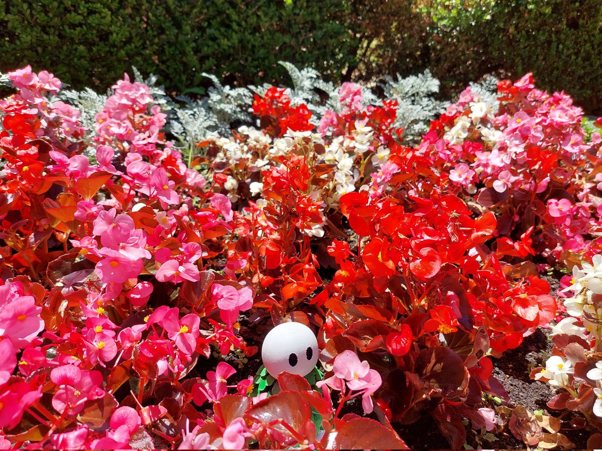 The flower spirit was onto something👀