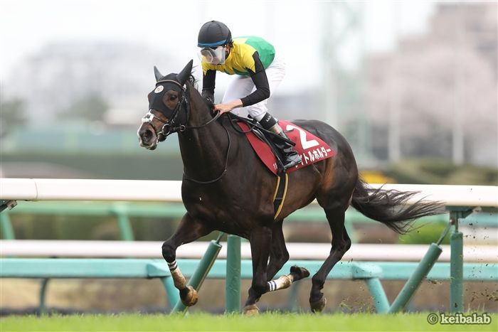keibalab's tweet photo. 【女王VS王者たち】
ジャパンC(11月26日、東京芝2400m)はイクイノックス、ドウデュース、タイトルホルダーら牡馬の強豪たちも現在参戦を予定しており、ドリームマッチとなりそうです。
#ジャパンC #リバティアイランド
https://t.co/UaNBGTZY0e https://t.co/wWVqpwqt8K