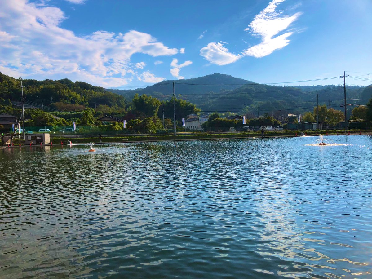 mokb_trout's tweet image. 仕事がかなり忙しいけど今日は誕生日休暇と自分に言い聞かせて1ヶ月振りの釣り🎣
1番のストレス解消だな〜

#エリアトラウト
#管釣り
#太田フィッシングクラブ
#安定の家族には秘密