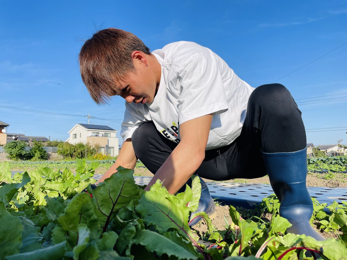 thespa_farm's tweet photo. 【#farmphoto 】
🥦ビーツ間引き
🧑🌾 #山田晃士 選手
📅 10/18(水) 120分
最初から最後まで張り切ってやっていただきました💪💪
山田選手のお祖父さん、お祖母さんも野菜を作っていたようで、昔を思い出しながら作業中📷
#thespa
#thespafarm
#ザスパ
#ザスパクサツ群馬
#ザスファーム
#ザスパファーマー
#シャレン
#山田晃士
#グンマーの秋
