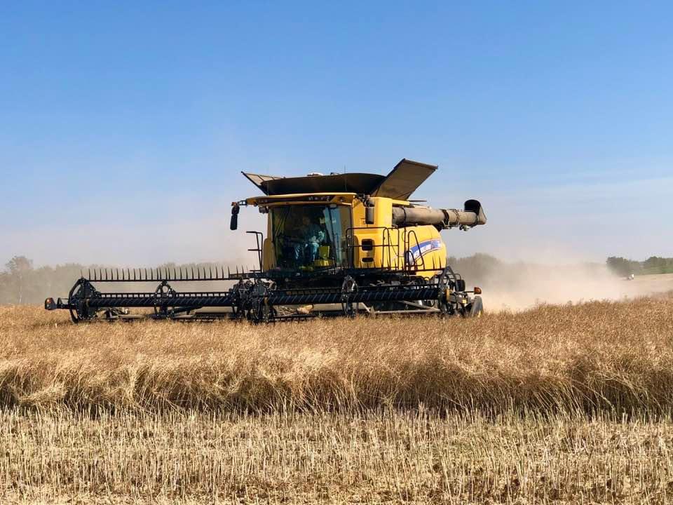 m phillips tweet media