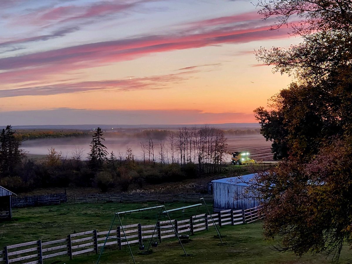 m phillips tweet media