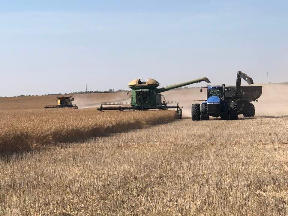 m phillips tweet media