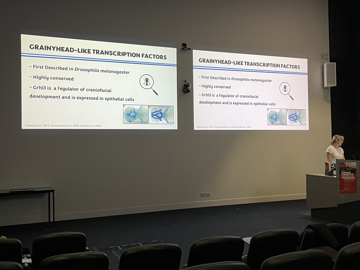 DworkinSeb's tweet photo. Well done @EmmaParksLTU on your superb talk today at the Northern’s Brightest Stars student symposium. Did the lab proud!! https://t.co/vYNUTrChXg