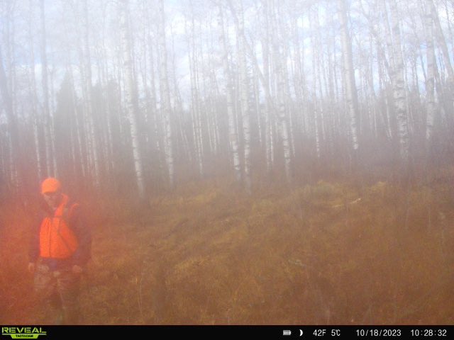 choppermac's tweet image. There’s nothing but does in that spot @CarldeConinck, keep hiking! 🤣