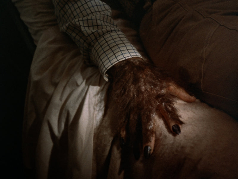 ScottMWest's tweet photo. I've been watching a lot of made-for-TV horror this season. Gives me the warm-fuzzies. #NowWatching Moon of the Wolf (1972) starring #DavidJanssen and a whole bunch of great character actors. #Horror #MadeForTVHorror #1970s #70sHorror #Werewolves #Wolfman https://t.co/YdzT1ekcR6