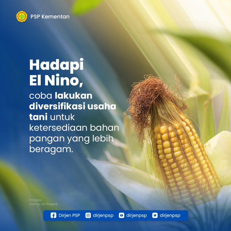 dirjenpsp's tweet photo. Kita dapat melakukan pemilihan varietas tanaman yang lebih tahan terhadap kekeringan atau penyesuaian pola tanam yang sesuai dengan kondisi cuaca selama periode El Nino.
#kementan #kementerianpertanian #kementerianpertanianri #programkementan #ditjenpsp #pspkementan #elnino https://t.co/o5XsPk2lG2