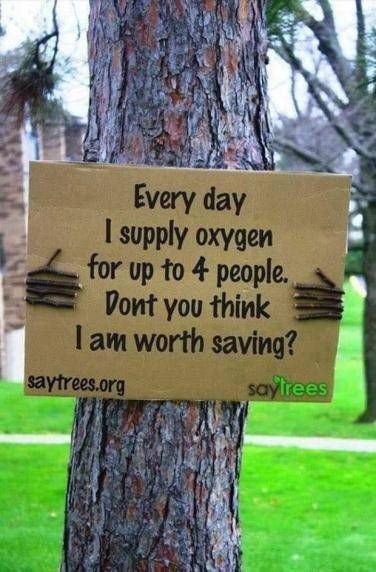 ksushma140's tweet photo. Without nature life is impossible,serving nature should be our priority. Plant maximum saplings as much as possible. #NatureIsLife #NurtureNature #SaveLives https://t.co/ul7DkLs81Y