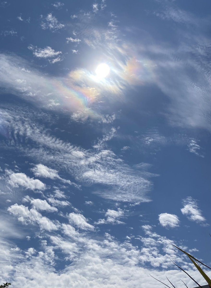 #アサソラ
#イマソラ

朝はこんな雲だったので、いよいよ雨かと思ったら秋晴れの空🟦☀️

これからお天気は下り坂になるかな☁️🌧️