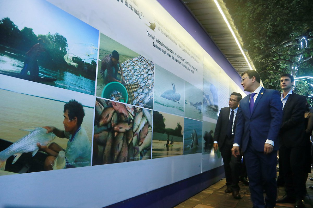 postkhmer's tweet photo. រដ្ឋមន្ត្រី​កសិកម្ម​៖ យើង​មាន​មោទនភាព​ណាស់​ដែល​កម្ពុជា ​នៅមាន​សត្វ​ផ្សោត​ ខណៈ​បណ្ដា​ប្រទេស​ផ្សេងៗ​ប���ន​ផុត​ពូជ​អស់​
https://t.co/FaPDEVtbLq https://t.co/owZY54y7da