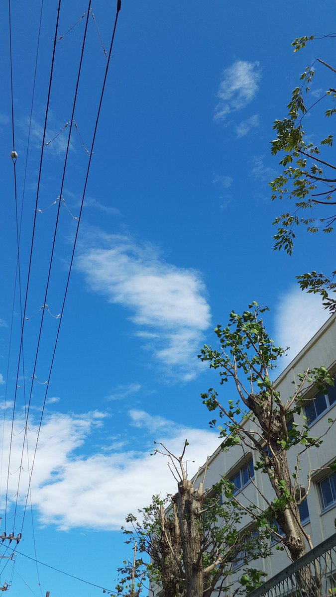 RE_days_'s tweet photo. #上大岡 にきています！　　
今日の #横浜 は晴れです☀️
今日は #新聞広告の日 です！ 
大変天気の良いきんようびですね！
午後からも気合いいれていきましょう💪
よろしくお願いします！ 

#企業公式つぶやき部 
#企業公式夏のフォロー祭り
#イマソラ 
#企業公式が毎朝地元の天気を言い合う https://t.co/8heaD5Zxas