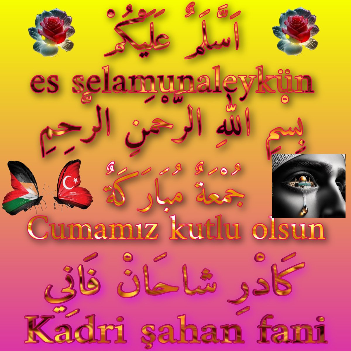 kadrisahan's tweet photo. https://t.co/h8GmpOQOdz
