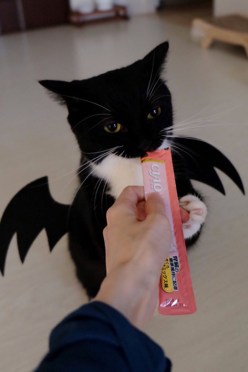 I'm Uni :3 tweet media