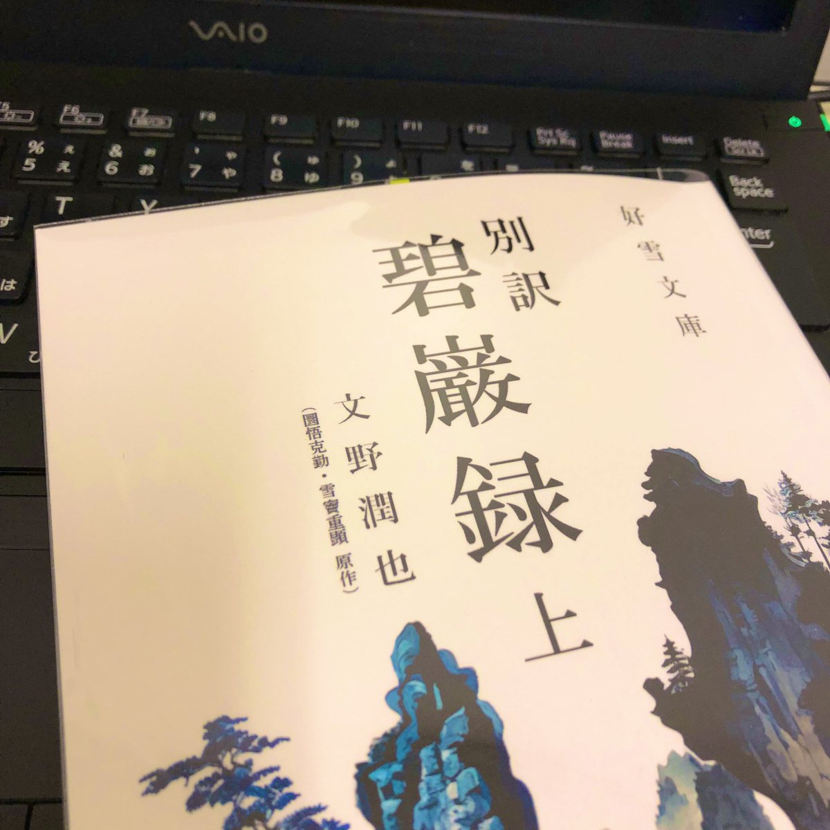 碧巌録提唱 碧巌録提唱拾い読み - 杯が乾くまで