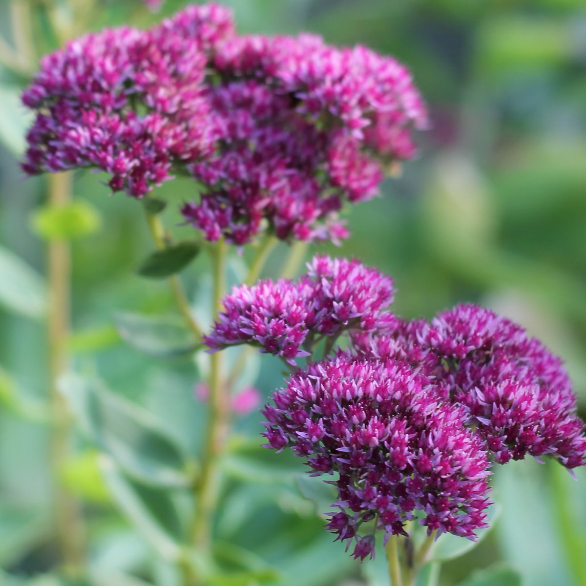 Guten Morgen Twitterleins.

Aus gegebenem Anlass habe ich gute Laune, trotz zu dunkel und zu früh. Es ist Freitag!
Kaffee?!

Schönen Tag und später guten Start ins Wochenende.