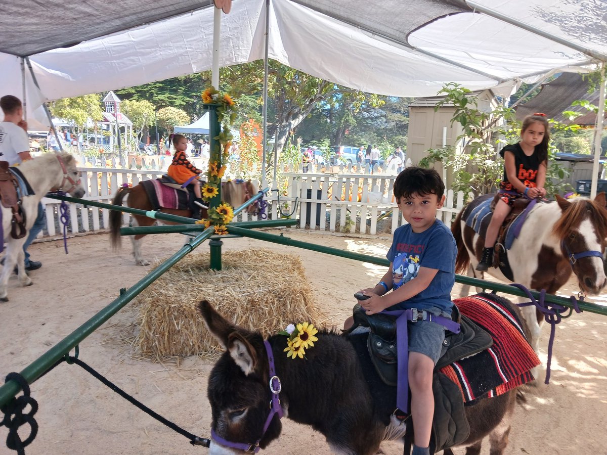 KellySludge's tweet image. Pumpkin Patch at Half Moon Bay
#halfmoonbay