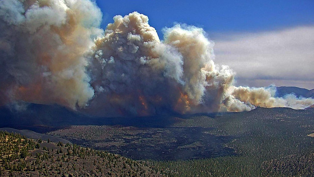 On Tuesday, 24 October, we'll be joined by AIIA Councillor <a href="/symons_jon/">jon symons - @jonsymons.bsky.social</a> who will talk about how the world can mitigate #ClimateChange The event will start at 6pm at Glover Cottages, Sydney 
Register here: aiiansw.glueup.com/event/climate-…
The event will be broadcast for free on Zoom.