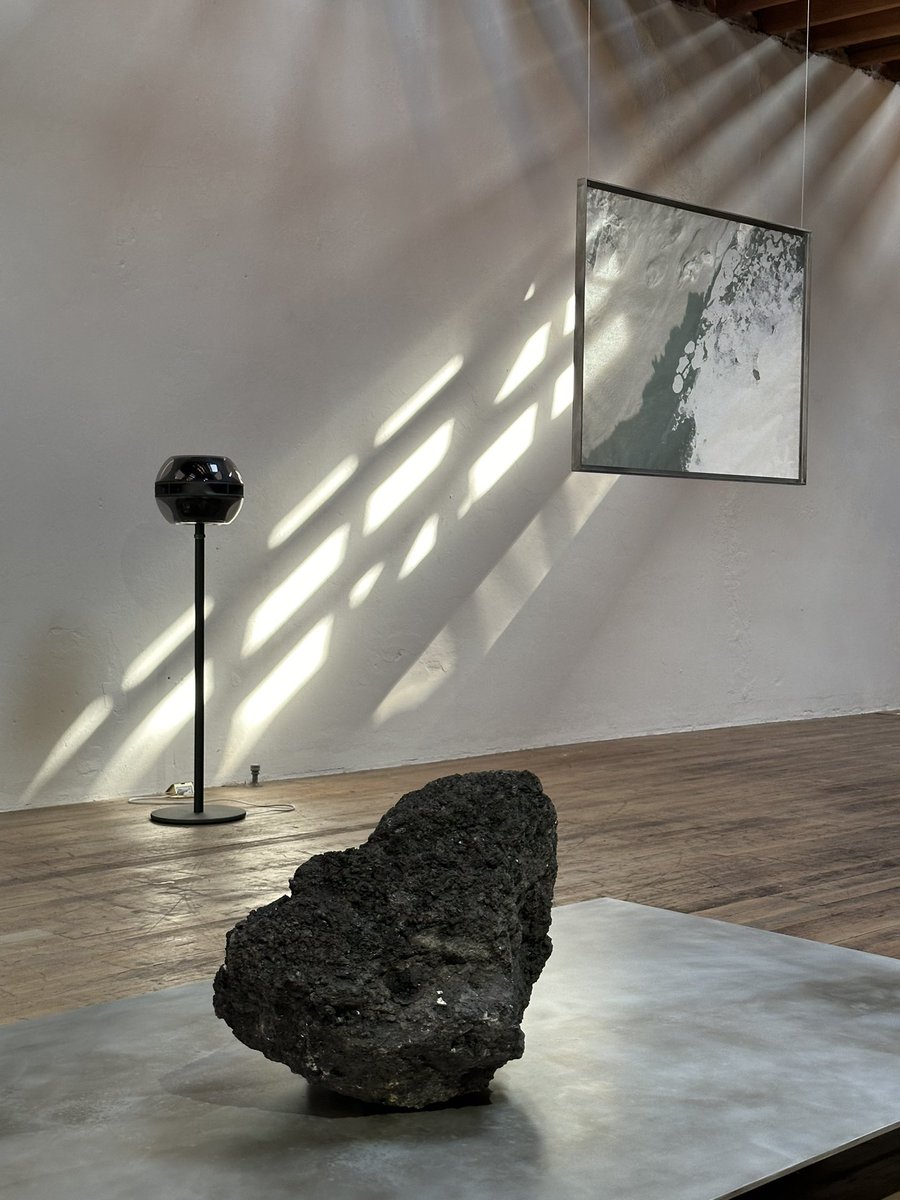 Louis Harboe tweet media