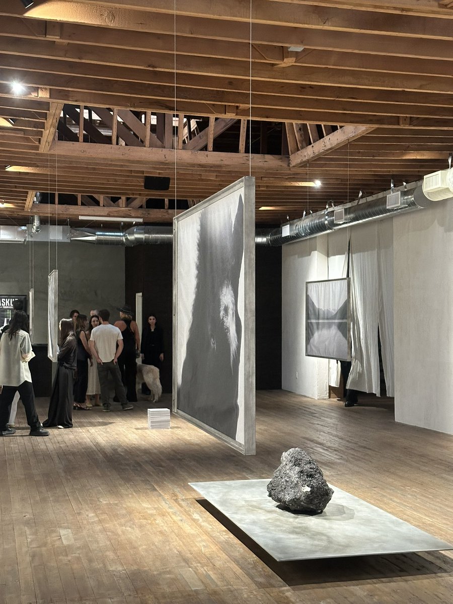 Louis Harboe tweet media