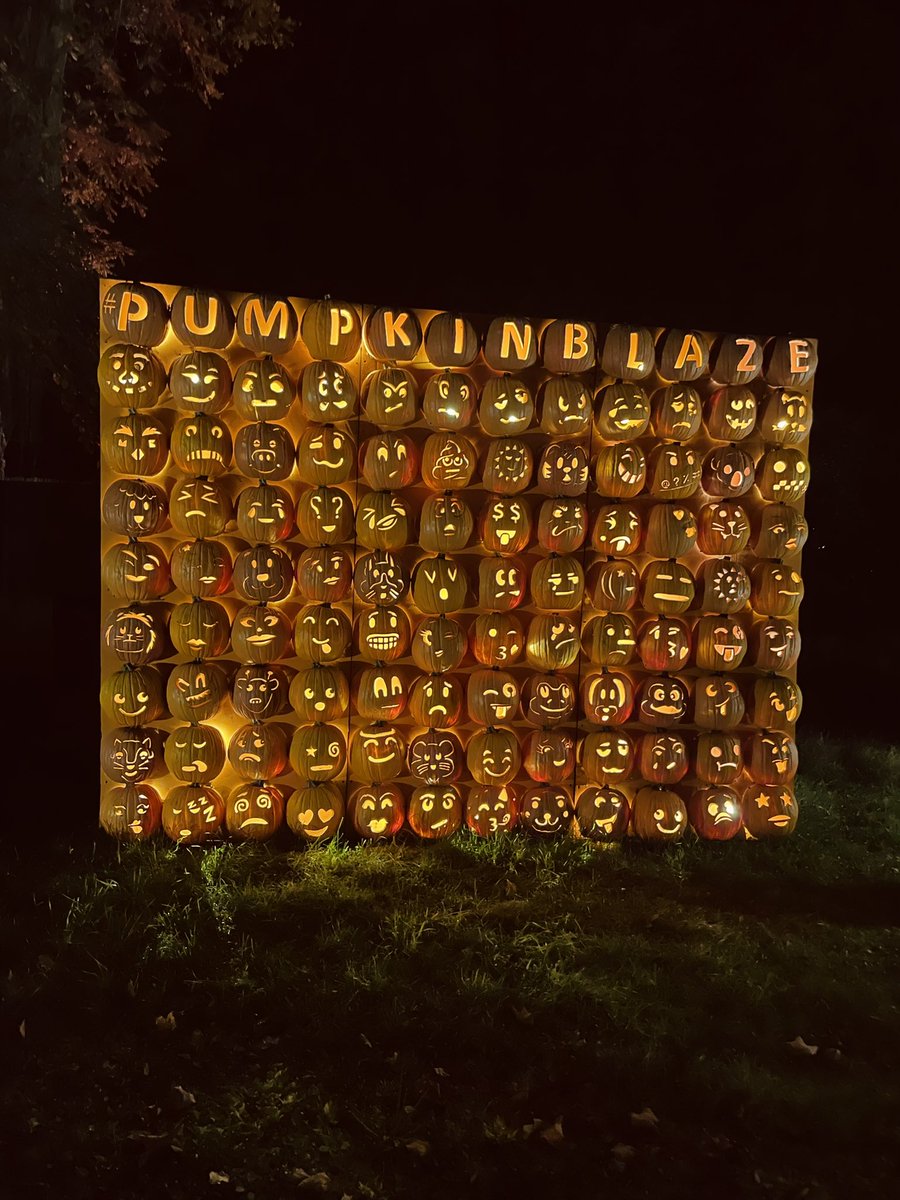 find urself as a pumpkin #pumpkinblaze