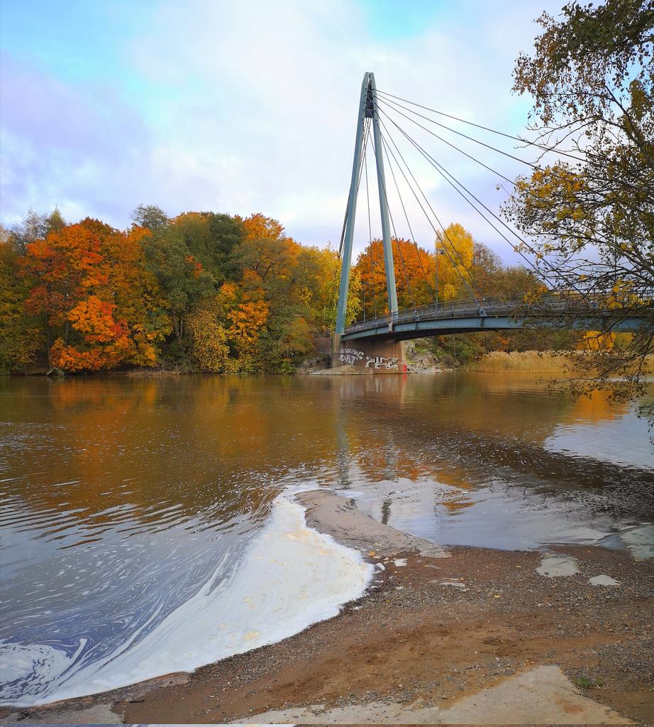 Laku_Lance's tweet photo. Fall, Fall, Fall
#Helsinki #Finland #photography #StormHour #travel #Photograph #weather #nature #Sunrise #morning #clouds #cycling #cyclinglife #landscape #ylesaa @ylesaa #visitfinland #visithelsinki #discoverfinland #FridayMotivation #fall #fallcolors #Autumn https://t.co/wnGgTloeqr