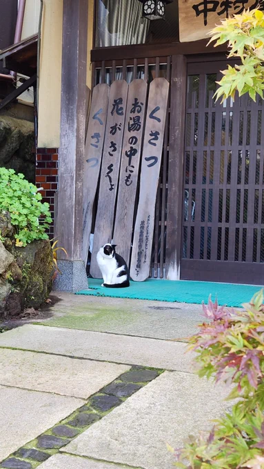 日本一の温泉地最高でした