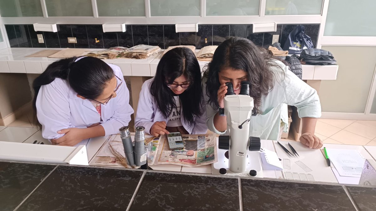 R_LinaresP's tweet photo. Plant IDing is so much fun, right @Shupsil &amp; @Ruth_V_V?
Thanks a lot @jennyolgaoutlo1 for the 📸, we need to repeat this soon!

#PlantHunters #HerbariumHuamanguensis #PlantID #FloraofPeru #PeruBMAP #Ayacucho https://t.co/VPxKcxiNNE