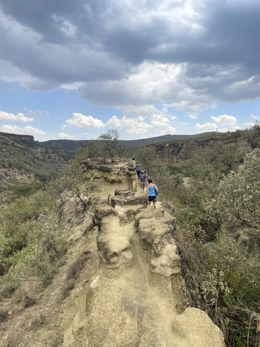 Maya Creates tweet media