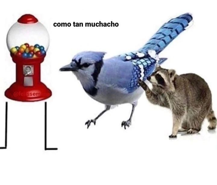 vinoypastis (@vinoypastillas) on Twitter photo 