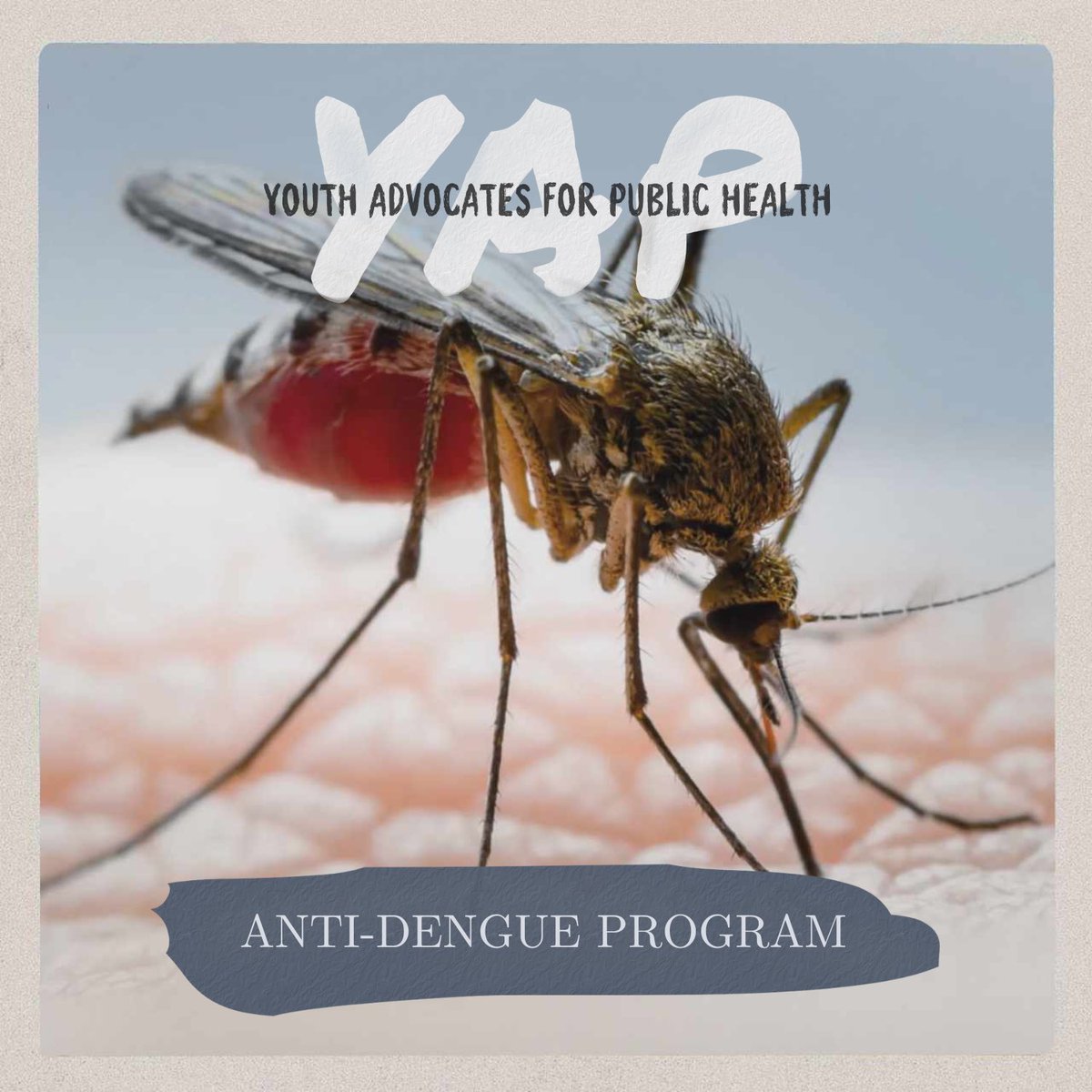 yap23_org's tweet photo. Together, we can fight against dengue! Join us as we launch our first project, an anti-dengue awareness program, to protect ourselves and our community from this deadly disease. Let's spread the word and take action! 🦟

#YAP #YAPPERZ #AntiDengueAwareness https://t.co/WjfoWngfxQ