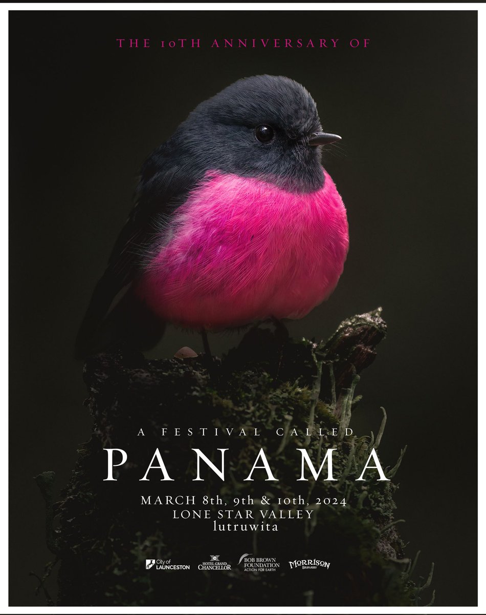 PANAMA 10 invites another collection of moment-makers into the valley. We’ve tried, as always, to bring the highest calibre through a broad range of the quiet, the stunning, the epic, and the immense. 
We invite you back. 
Read deep at our website.