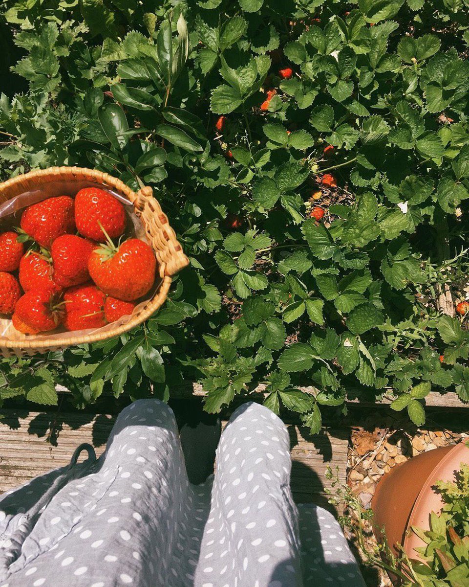 "الحمدلله الذي حفظ عافيتي وستر خطيئتي وما زال يعطيني .. فالحمدلله دائماً وأبداً".