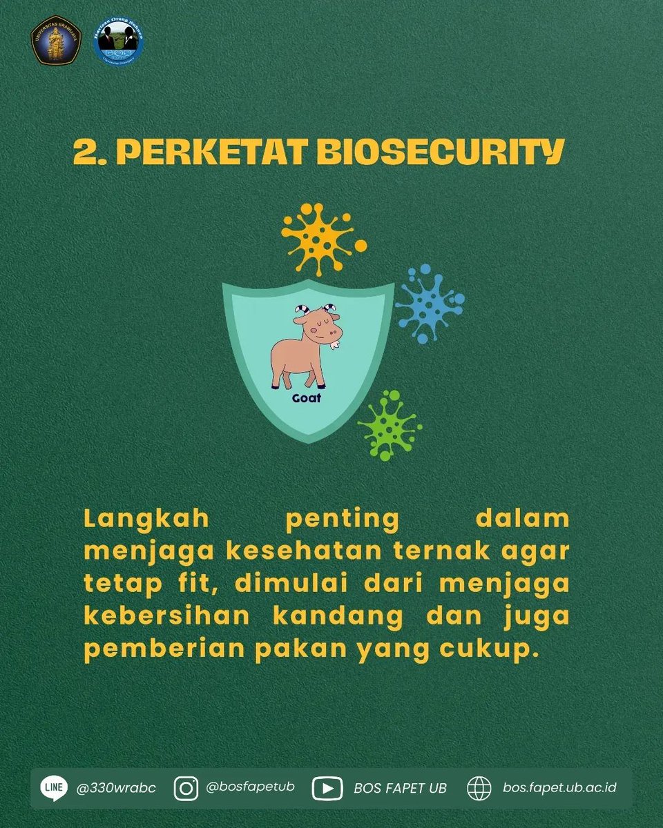 bosfapetub's tweet photo. [LANGKAH AWAL BETERNAK KAMBING DAN DOMBA]

Dalam industri peternakan ada banyak jenis komoditas seperti kambing dan domba. Komoditas ini bisa dijadikan ajang bisnis karena peluang yang besar, tapi sebelum memulai membangun peternakan tersebut diperlukan strategi sebagai berikut. https://t.co/wv6K3Elnhb