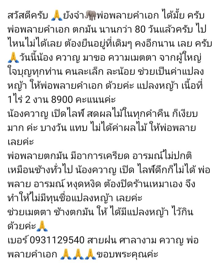 พ่อพลายคำเอก tweet media