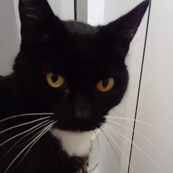 Hawk Express Cabs tweet media