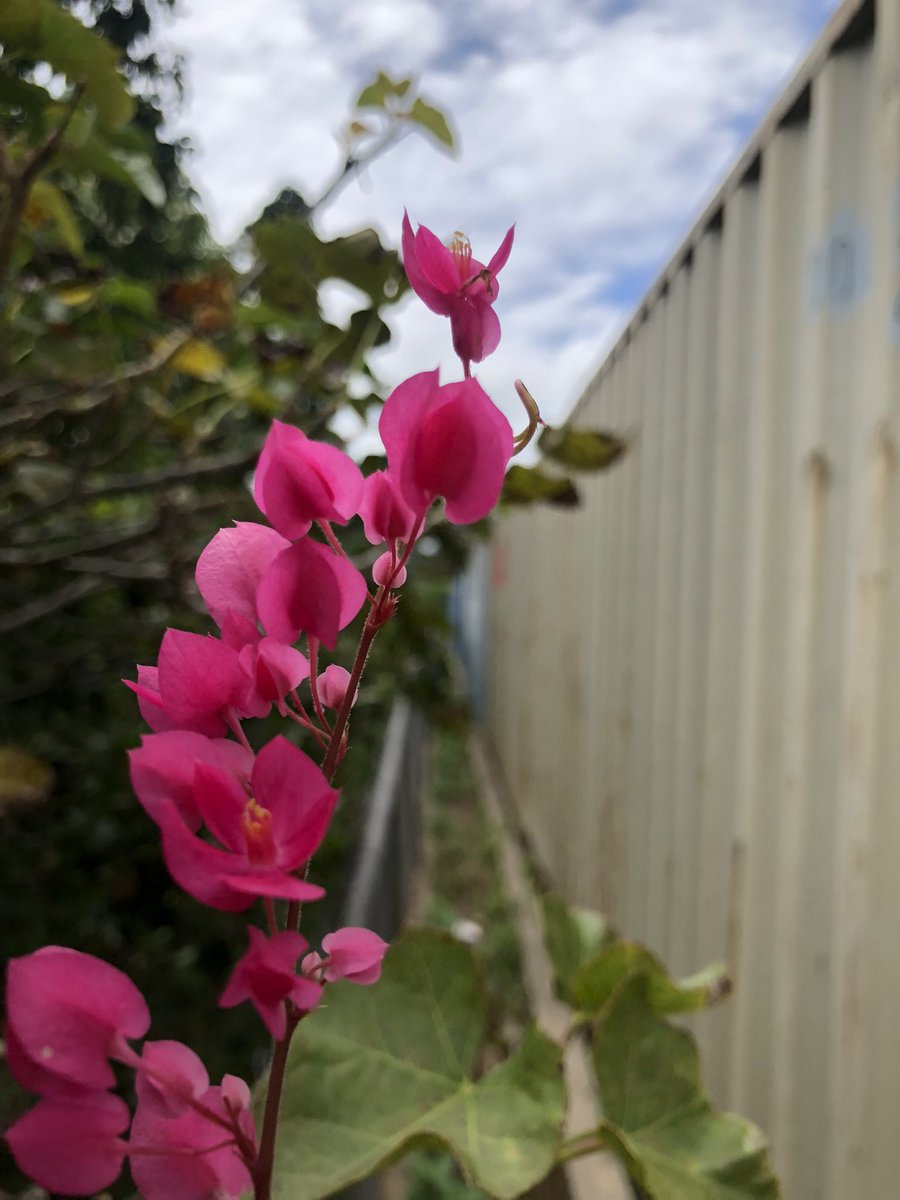 larryymac's tweet image. On my vagabond era, be back whenever ..