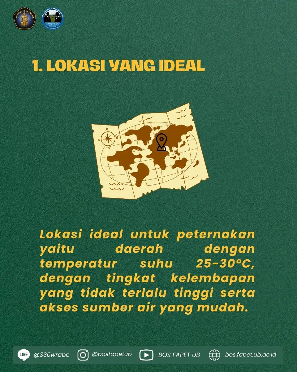 bosfapetub's tweet photo. [LANGKAH AWAL BETERNAK KAMBING DAN DOMBA]

Dalam industri peternakan ada banyak jenis komoditas seperti kambing dan domba. Komoditas ini bisa dijadikan ajang bisnis karena peluang yang besar, tapi sebelum memulai membangun peternakan tersebut diperlukan strategi sebagai berikut. https://t.co/wv6K3Elnhb