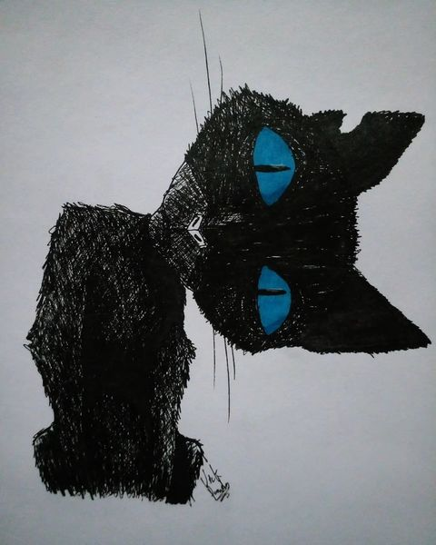 14Vickpanda's tweet photo. Semana 3: michi negro 🐈‍⬛
.
.
#lazytober23 #coraline #coralinefanart #gatos #drawing #coralinecat #cats #fanart #halloween #october https://t.co/kPtwmkJgrK