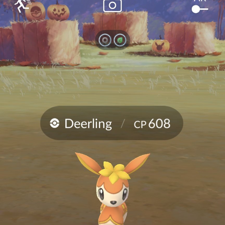 TaipeiTreecko tweet media