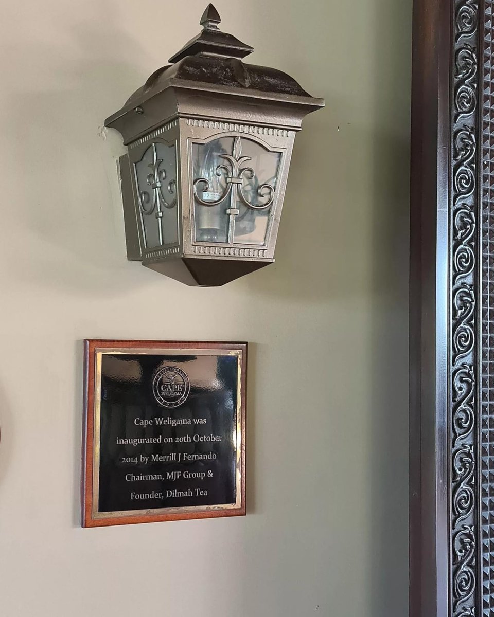 Resplendent Ceylon tweet media